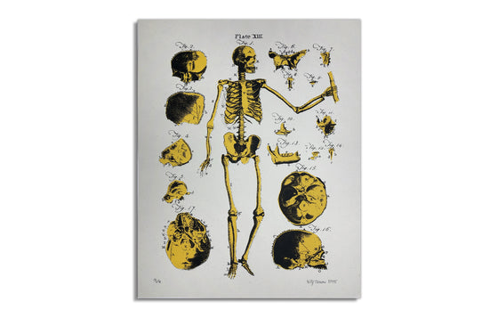Skeleton Diagram by Billy Craven