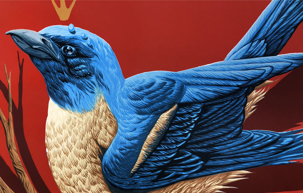 Lazuli [Blue Bird] by Andrew Ghrist