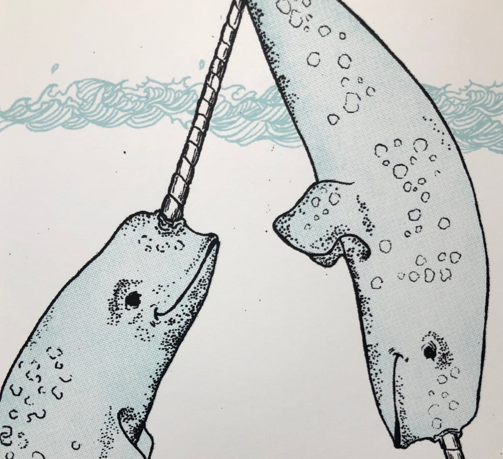 N is for Narwhal by Frida Clements